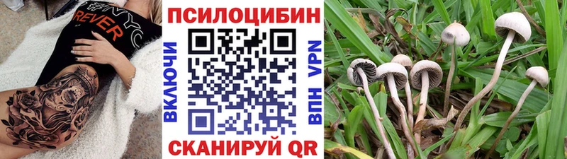 блэк спрут сайт  Туран  Псилоцибиновые грибы MAGIC MUSHROOMS 